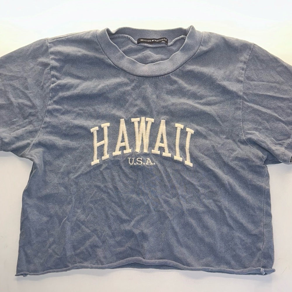 hawaii crop top | brandy melville